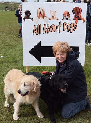 Luxury Dog Kennels and Dog Day Care - Rags and Berts