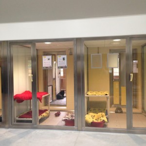 Manchester Dogs Home Telephone Number Manchester Dogs Home Telephone Number