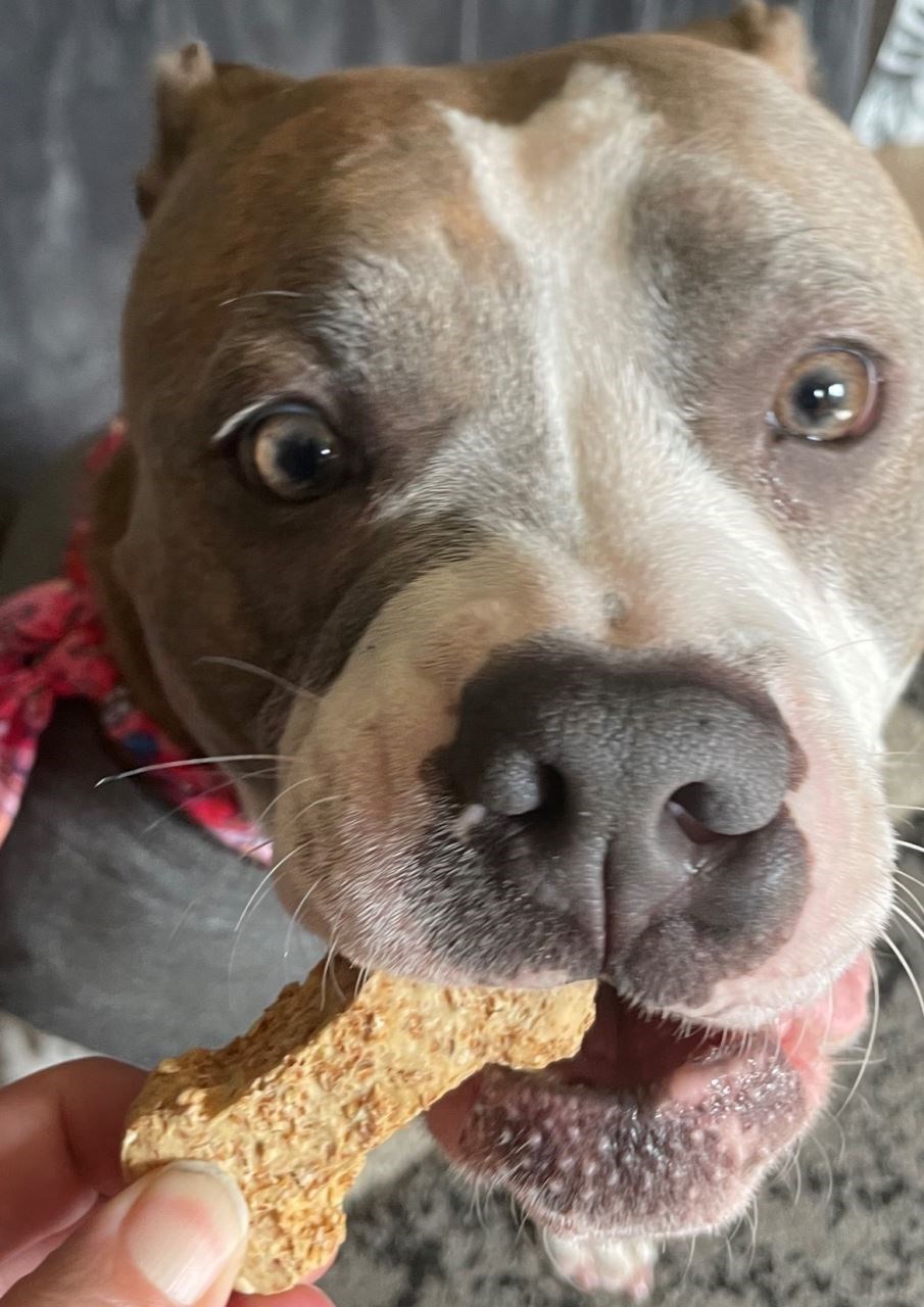 Dog-friendly Rocky Road Biscuits