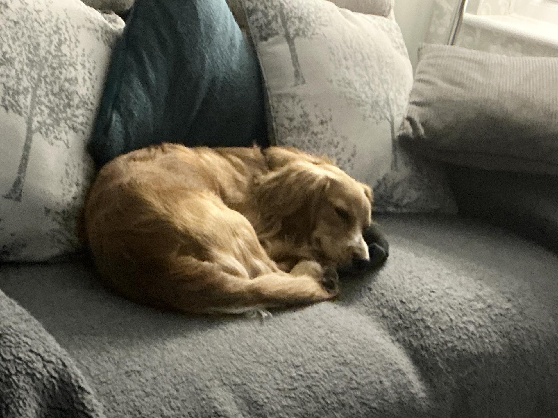 archie chilling