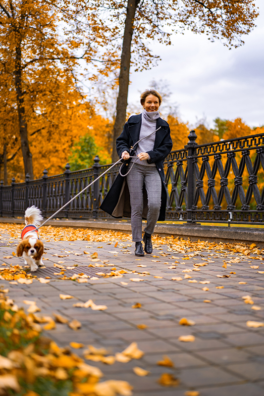 autumn dog walk