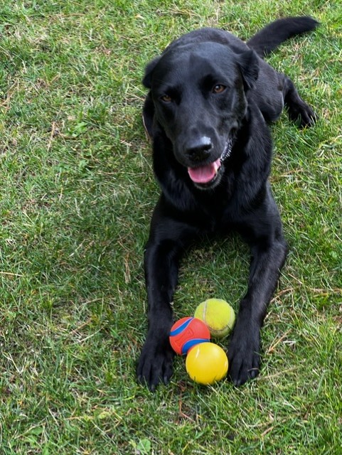 Burt 1