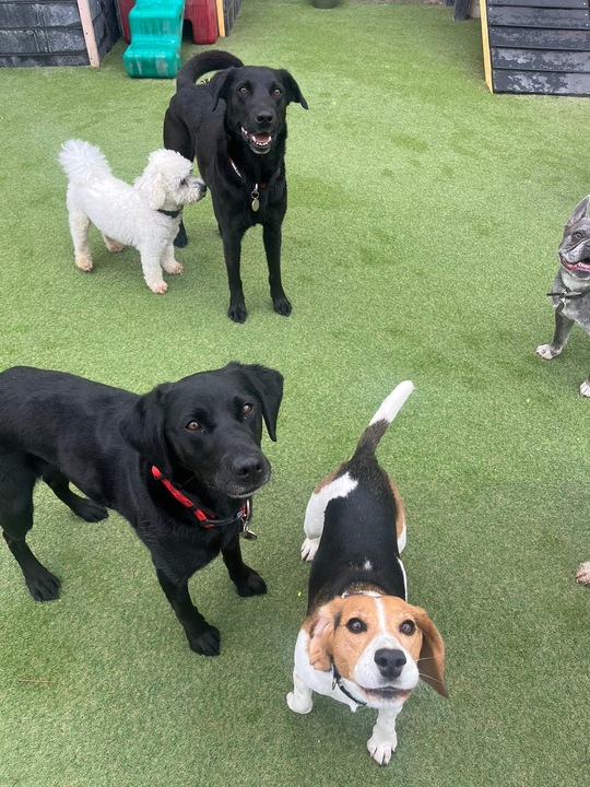 burt at daycare 5