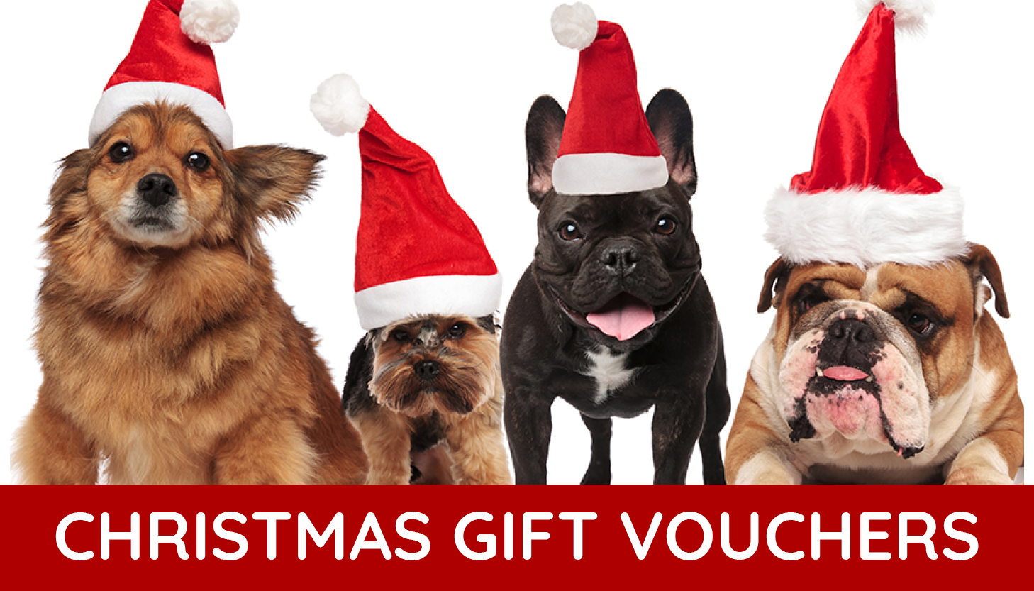christmas gift vouchers