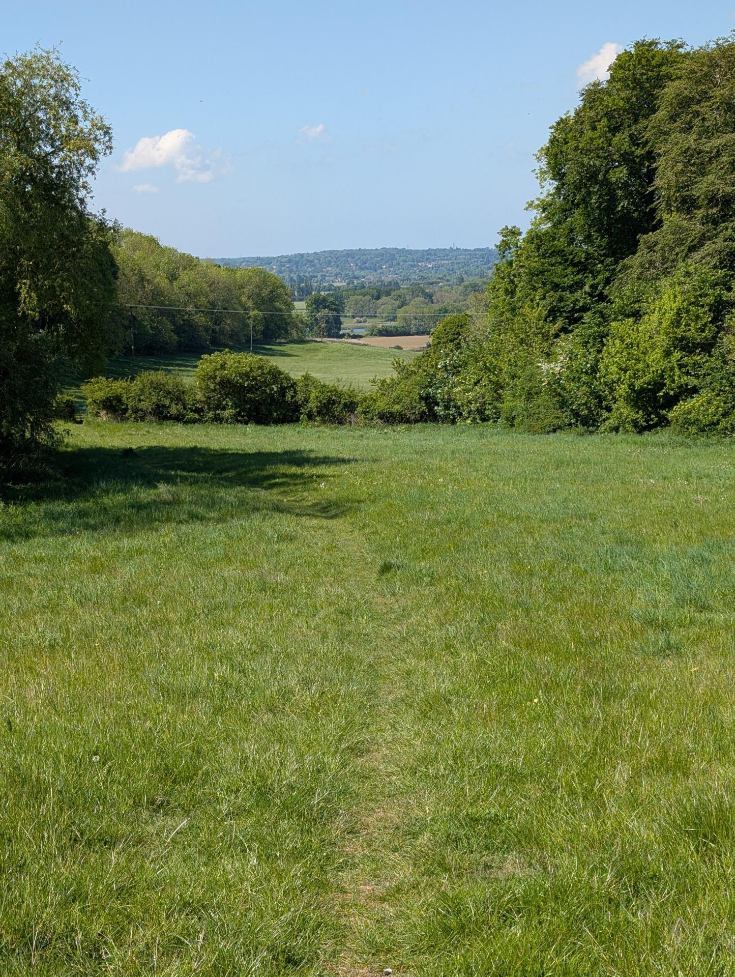 Country Wall