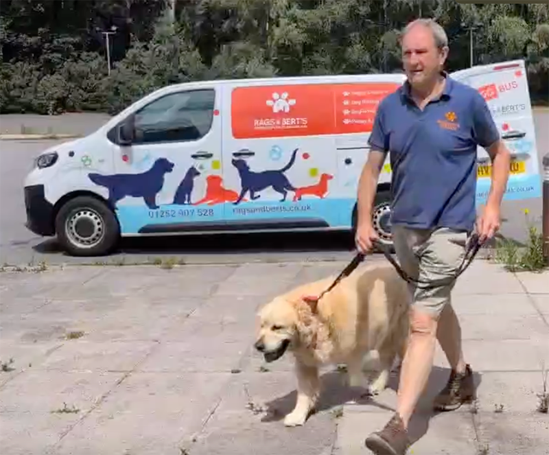 dog bus and staff member