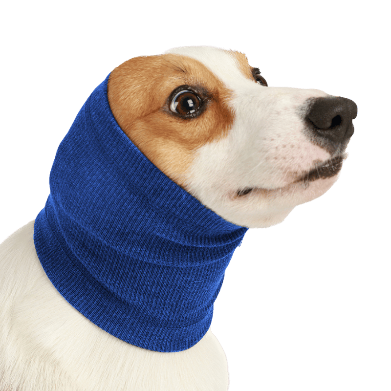 dog snood