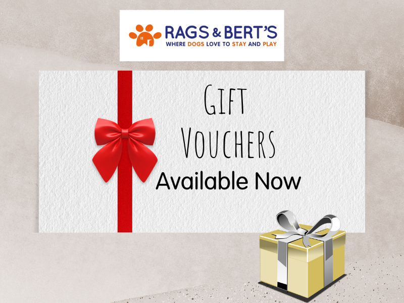  gift vouchers