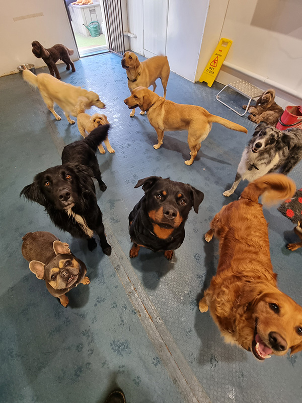 indoor play