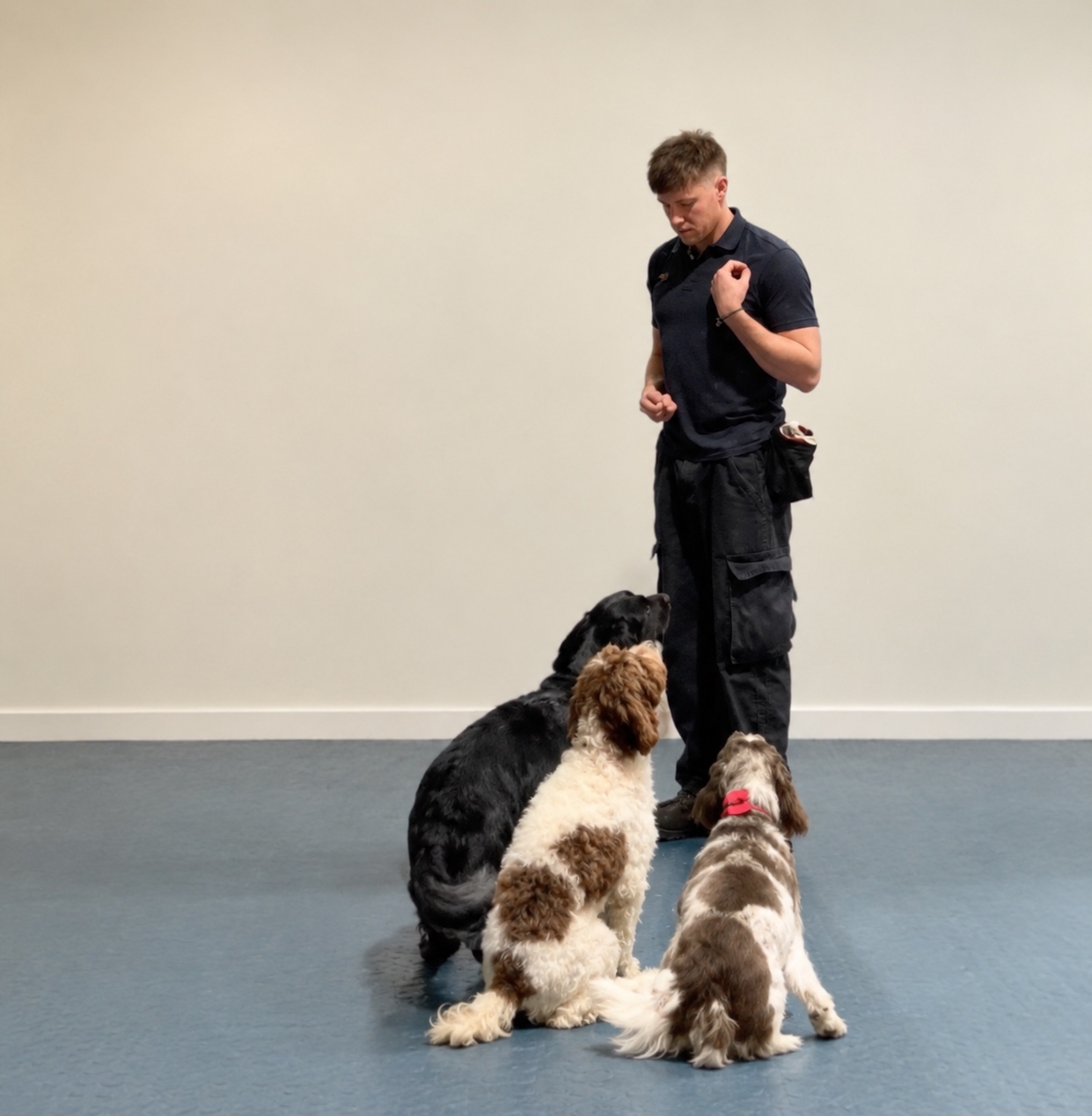 jake training with 3 dogs