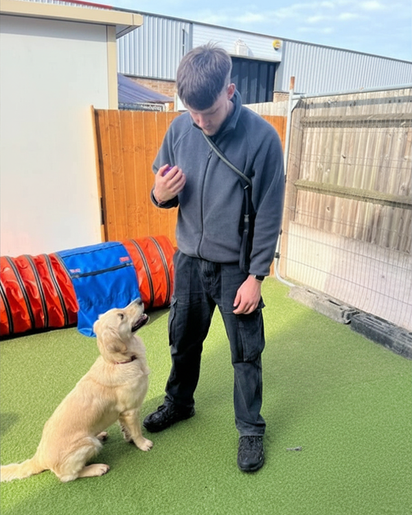 dog training with jake