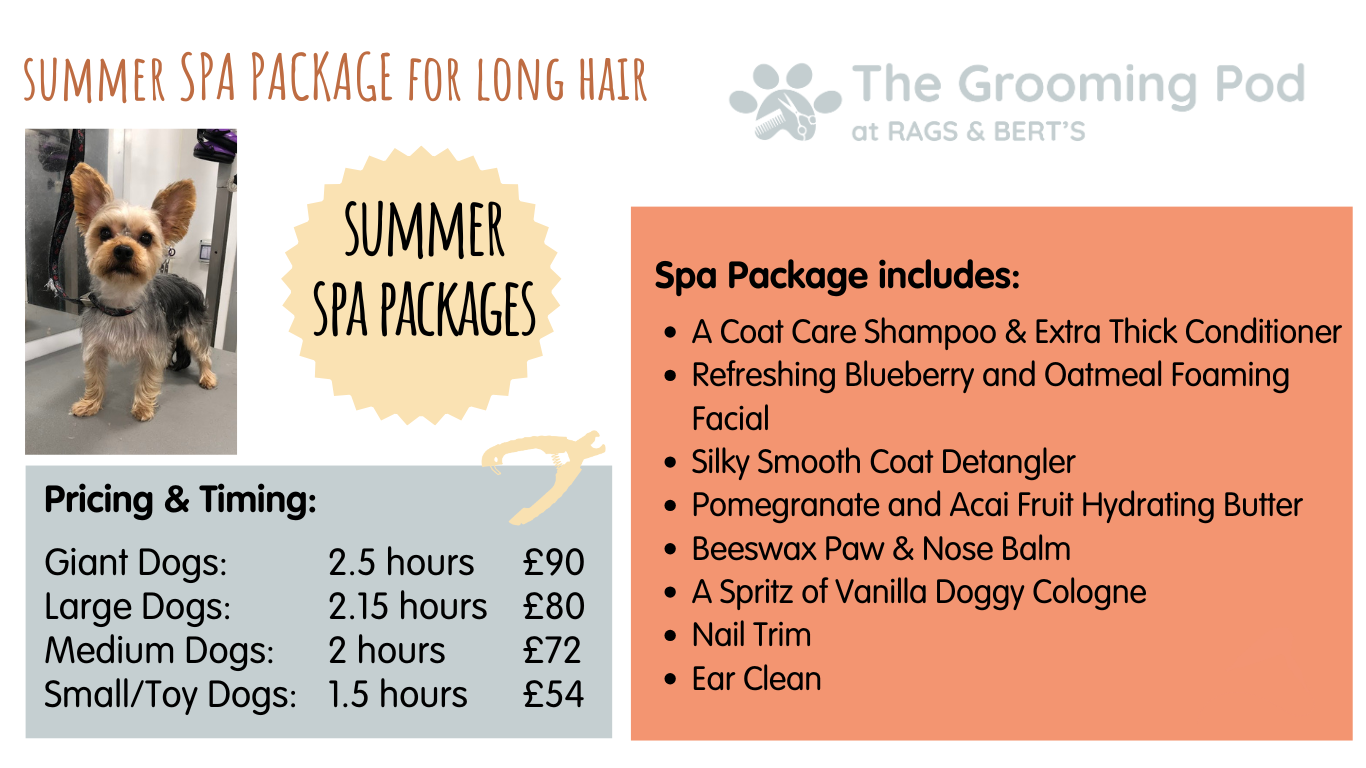 summer spa package