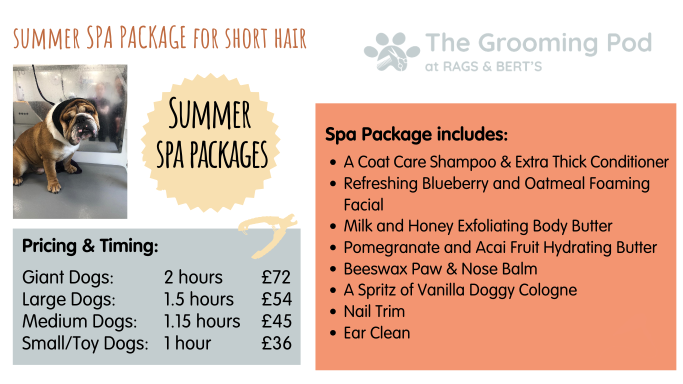 summer spa package - short hair