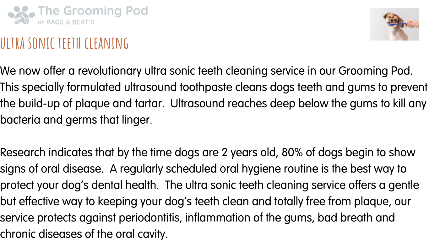 Dog Grooming The Grooming Pod Rags and Berts