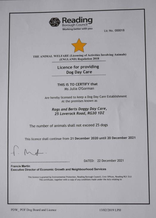 Doggy Day Care in Reading