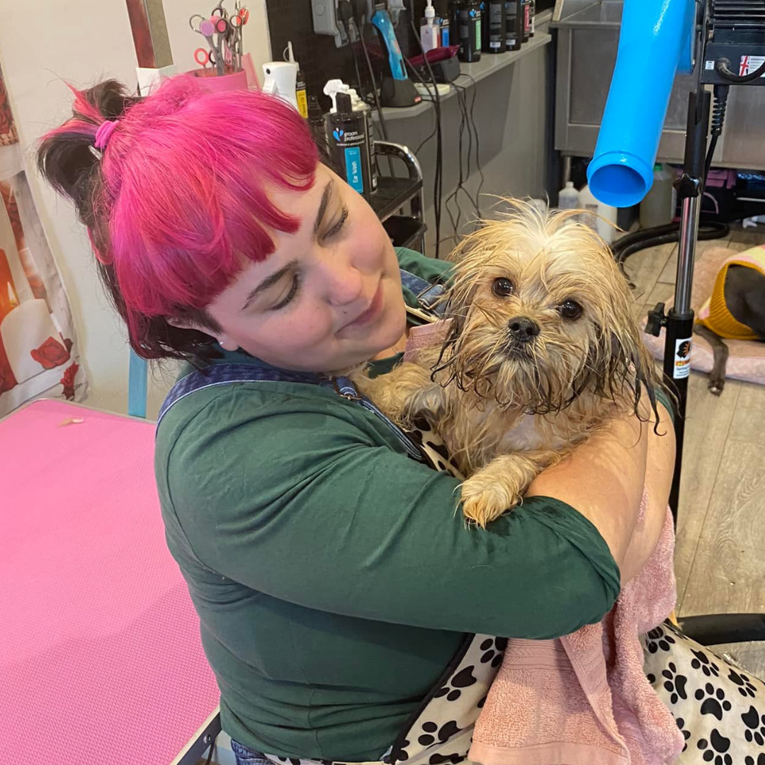 Eloise dog groomer Reading