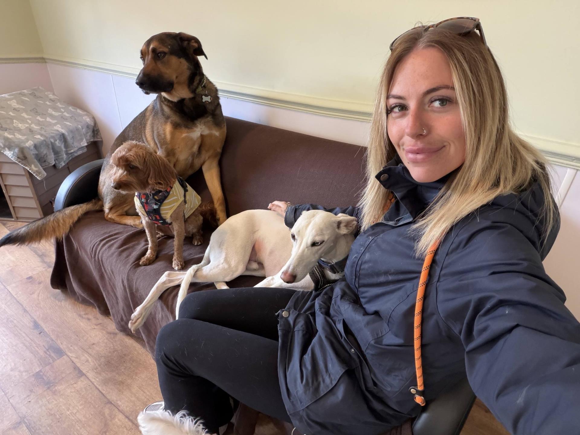 doggy care