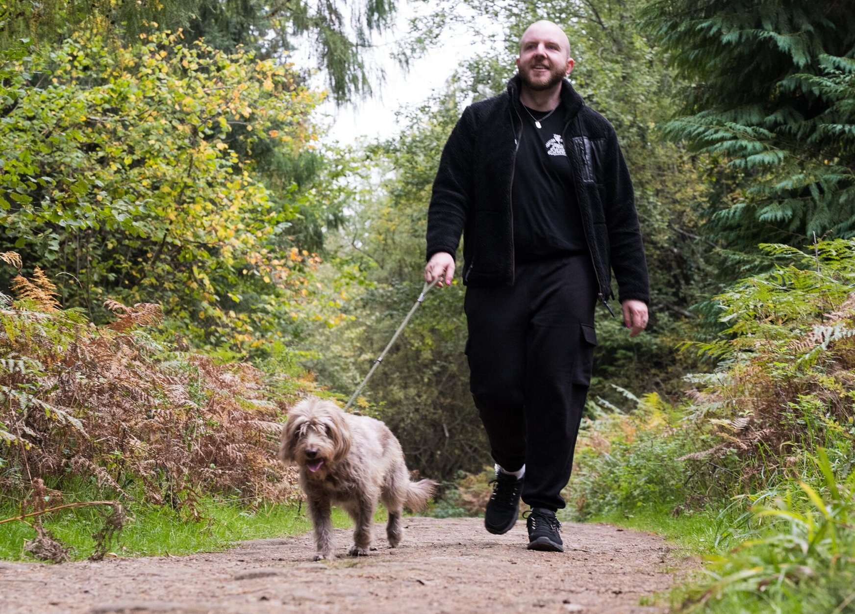 forest dog walk