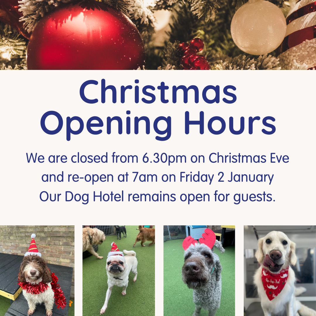Christmas Opening Hours