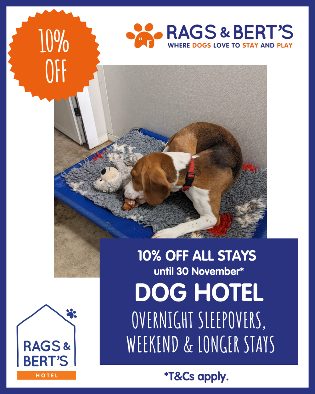 Get 10% Off Dog Hotel Stays This Autumn