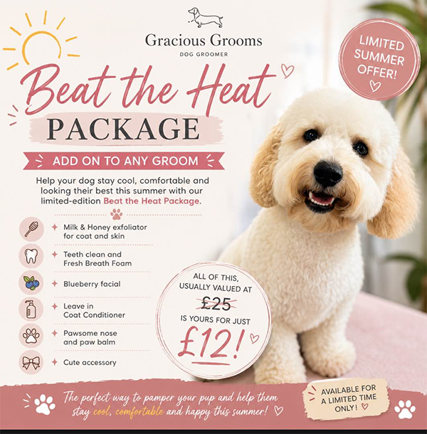 Summer Grooming Offer