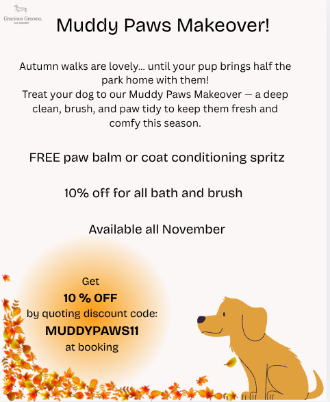 Muddy Paws Makeover