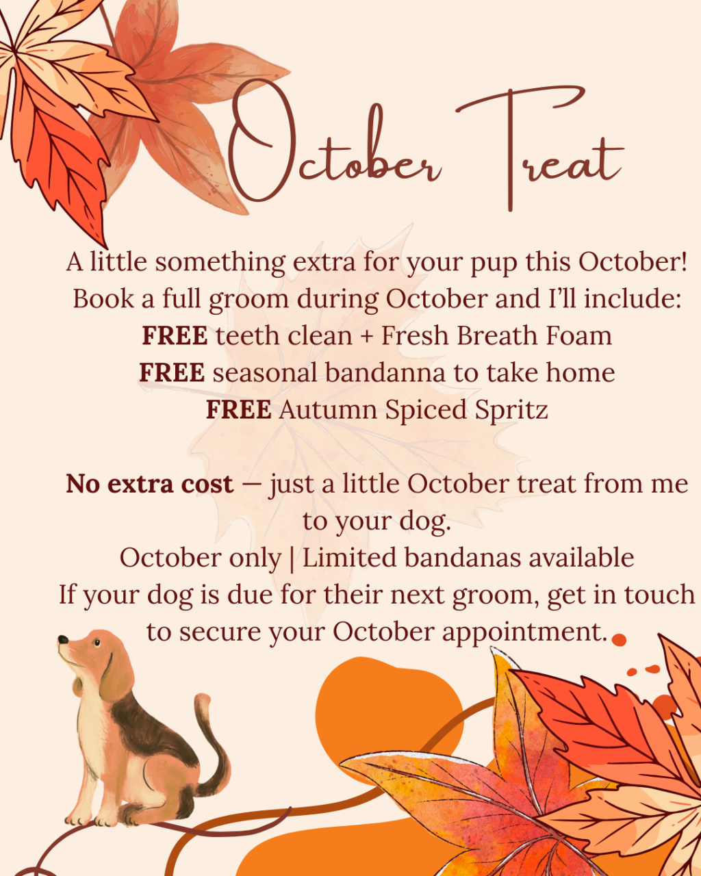 October Grooming Offer