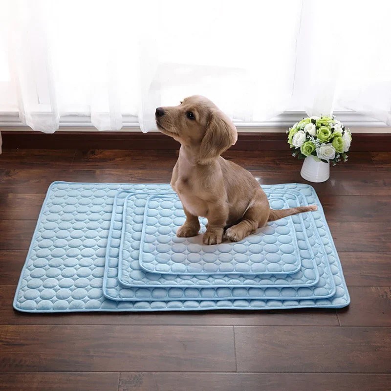 Keep Your Dog Cool! The Best Cooling Mats for Summer Comfort