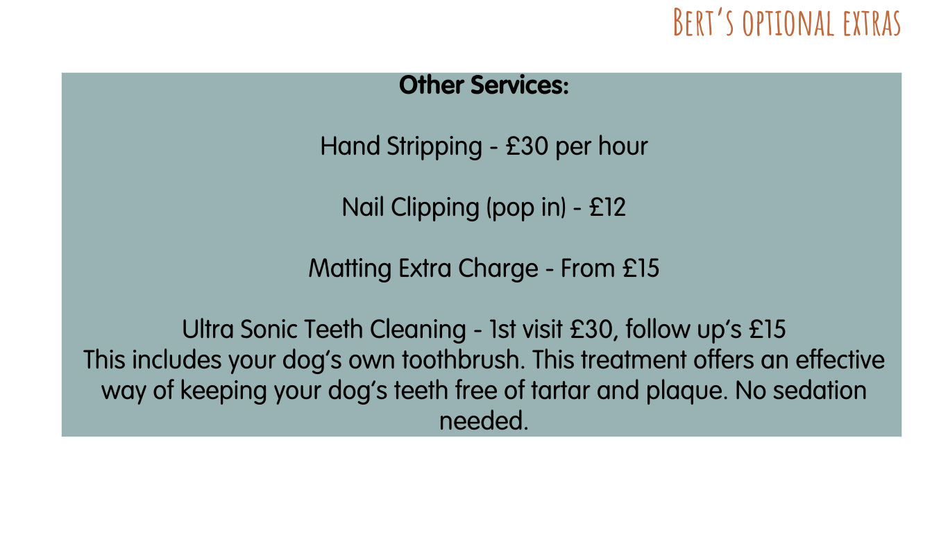 Dog Grooming The Grooming Pod Rags and Berts