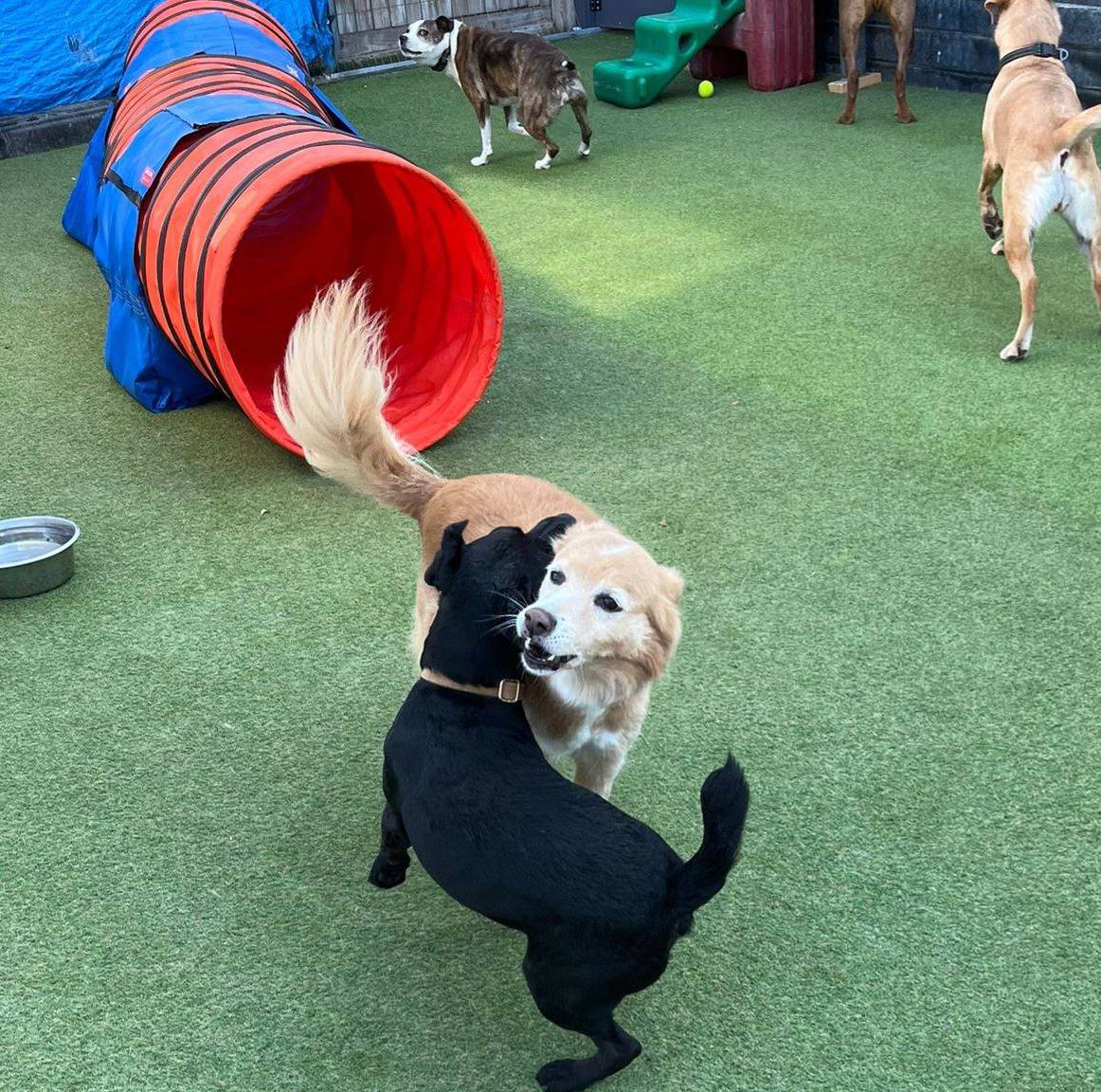 tube play
