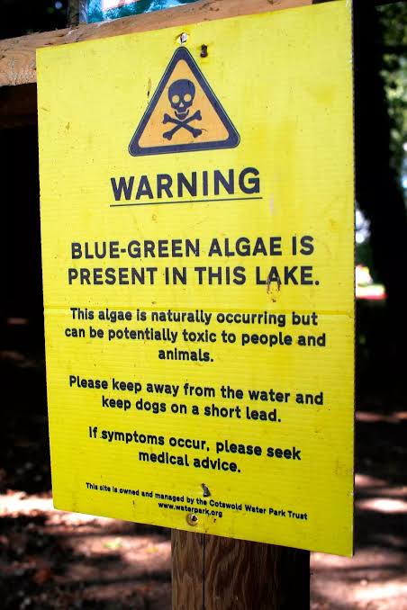 warning sign