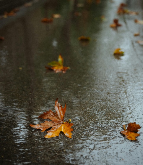 wet weather